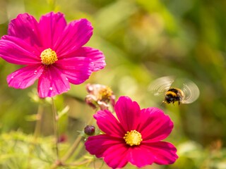 Casa per le vacanze Ballum Registrazione all'aperto 15