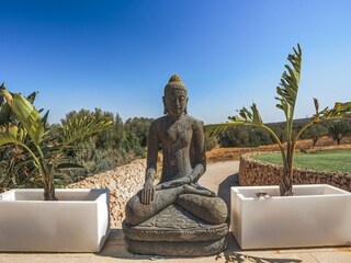 Villa Ses Salines  77