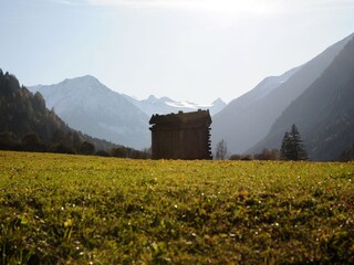 Appartement Neustift im Stubaital Omgeving 17