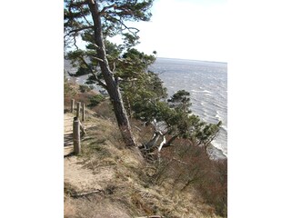 Appartement de vacances Seebad Bansin Environnement 16