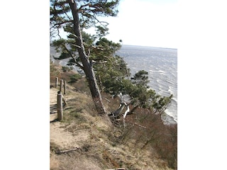 Vakantieappartement Seebad Bansin Omgeving 16