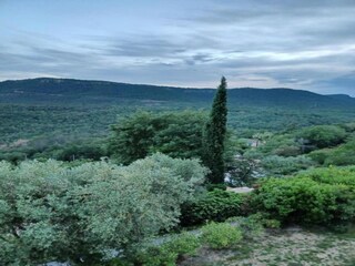 Maison de vacances La Garde-Freinet Environnement 31