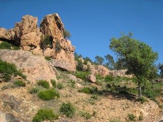 Maison de vacances La Garde-Freinet Environnement 28