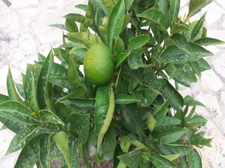 Maison de vacances La Garde-Freinet Environnement 21