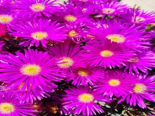 Holiday house La Garde-Freinet Environment 26