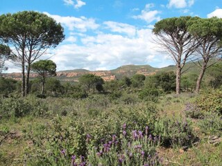 Maison de vacances La Garde-Freinet Environnement 22