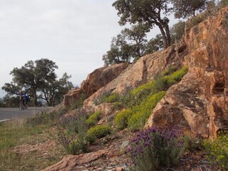 Holiday house La Garde-Freinet Environment 34