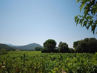 Holiday house Saint-Marcellin-lès-Vaison Environment 27