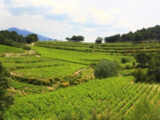 Holiday house Saint-Marcellin-lès-Vaison Environment 29