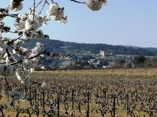 Vakantiehuis Saint-Marcellin-lès-Vaison Omgeving 36