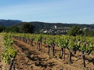 Ferienhaus Saint-Marcellin-lès-Vaison Umgebung 37