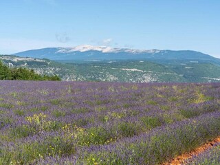 Holiday house Vaison-la-Romaine Environment 38