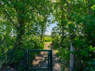 Maison de vacances Sint Maartenszee Environnement 24