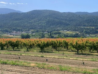 Villa Malaucène Environment 26