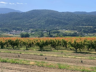 Villa Malaucène Environnement 26
