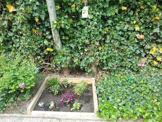 Casa per le vacanze Petten  13