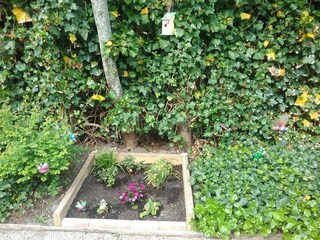 Vakantiehuis Petten  13