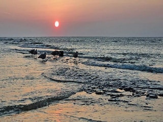 Ferienpark Julianadorp Umgebung 35