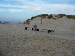 Vakantiepark Julianadorp Omgeving 19