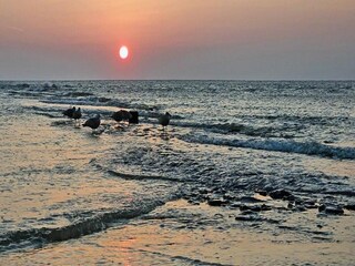 Parco vacanze Julianadorp Ambiente 14