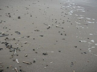 Parco vacanze Julianadorp Ambiente 31