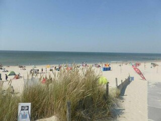 Parque de vacaciones Julianadorp Entorno 24