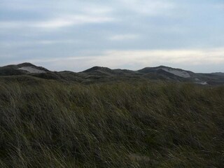 Parque de vacaciones Julianadorp Entorno 30