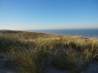 Vakantiepark Noordwijk Omgeving 35