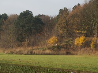 Vakantiepark Noordwijk Omgeving 25