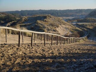 Vakantiepark Noordwijk Omgeving 31