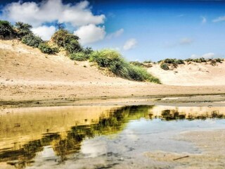 Vakantiepark Noordwijk Omgeving 34