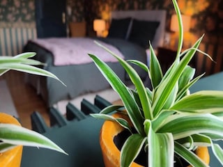 Appartement Saint-Antoine-la-Forêt  48