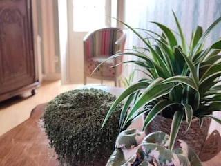 Appartement Saint-Antoine-la-Forêt  6