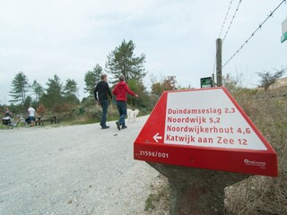 Parc de vacances Noordwijk Environnement 17