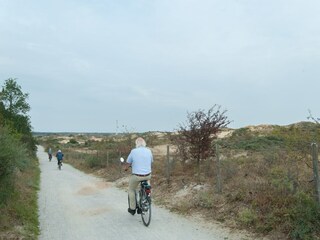 Vakantiepark Noordwijk Omgeving 19