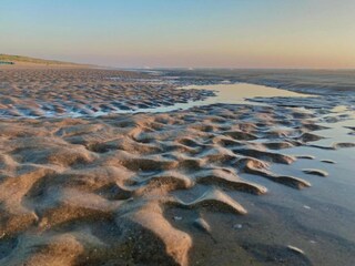 Vakantiepark Noordwijk Omgeving 20