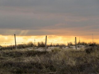 Vakantiepark Noordwijk Omgeving 27