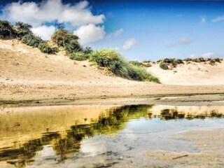 Vakantiepark Noordwijk Omgeving 29