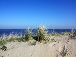 Vakantiepark Noordwijk Omgeving 22