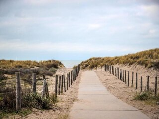 Vakantiepark Noordwijk Omgeving 34