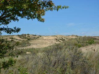 Holiday house Noordwijk Environment 20