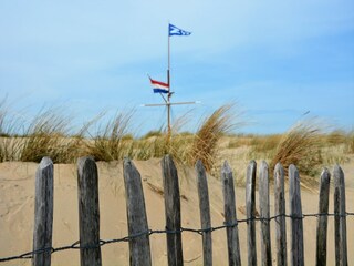 Maison de vacances Noordwijk Environnement 19
