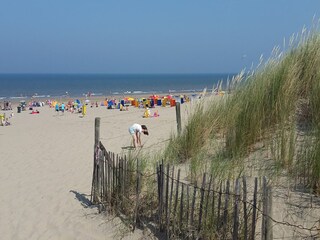 Maison de vacances Noordwijk Environnement 38