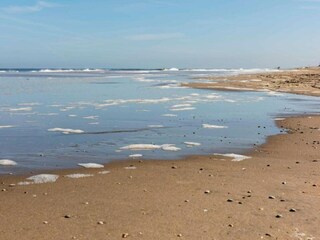 Maison de vacances Noordwijk Environnement 30