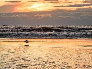 Vakantiehuis Noordwijk Omgeving 31