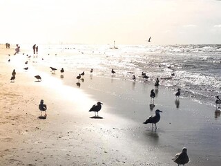 Vakantiehuis Noordwijk Omgeving 32