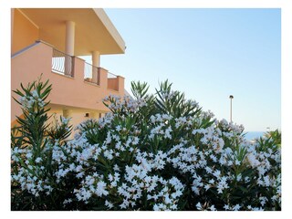 Appartamento per vacanze Valledoria Registrazione all'aperto 3