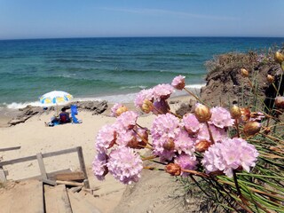 Appartamento per vacanze Valledoria Ambiente 11