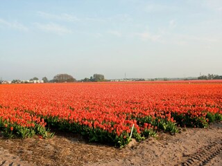 Vakantiepark Noordwijk Omgeving 38