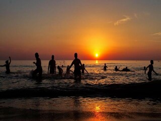 Parc de vacances Noordwijk Environnement 27